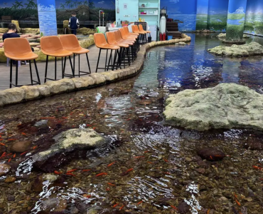 China impulsa la acuicultura; es líder en producción